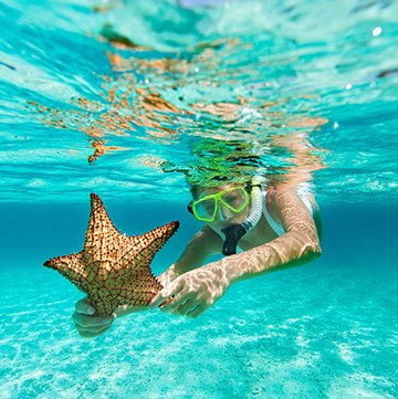 women snorkeling with starfish