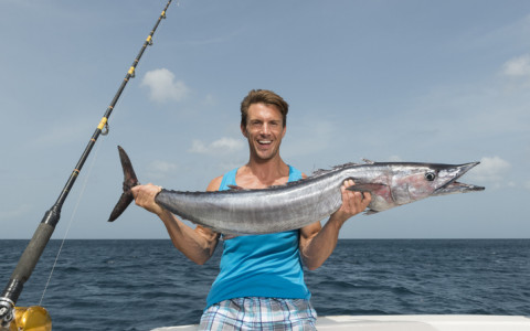 wahoo fish fresh caught