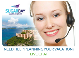 OnlineChatSoftware